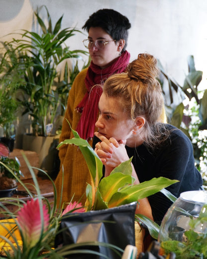 Kokedama Moss Ball Workshop - Melbourne