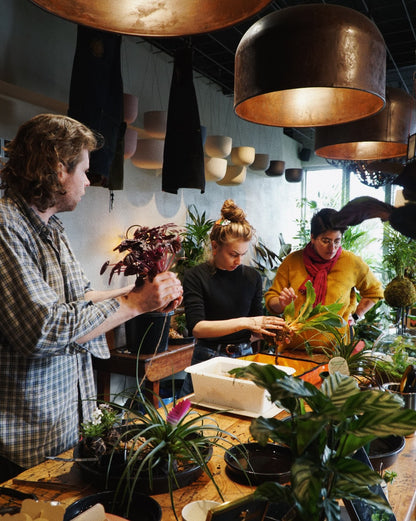 Kokedama Moss Ball Workshop - Melbourne