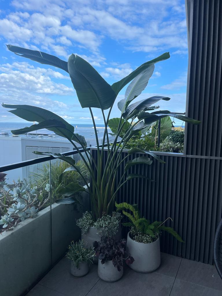 9.jpeg__PID:fcbbe1f3-df00-46f7-b8f5-deed67635482