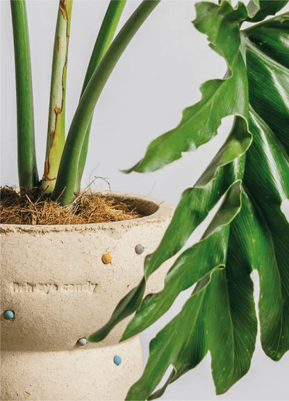 Fish Eye Candy Planter