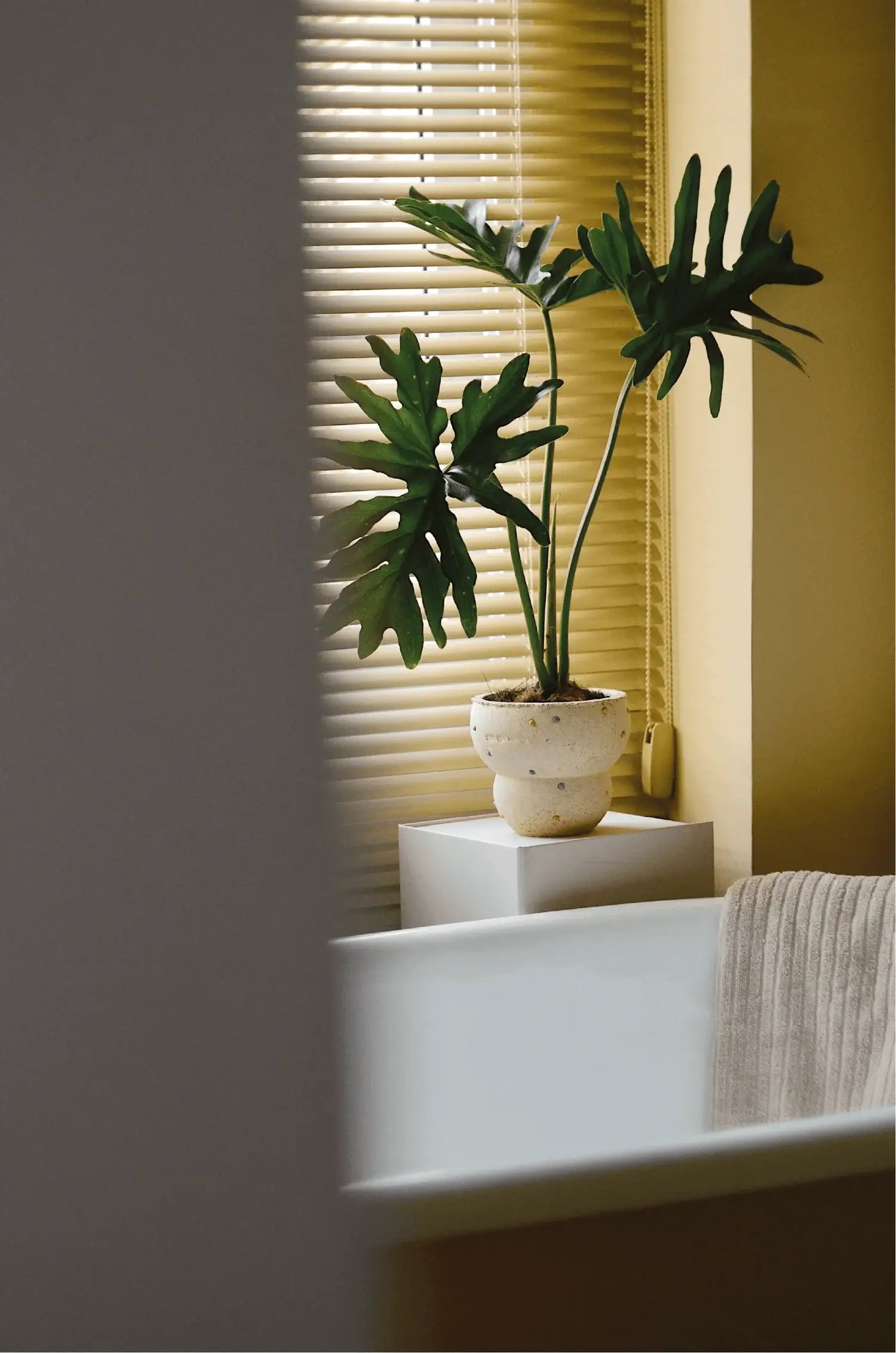 Fish Eye Candy Planter