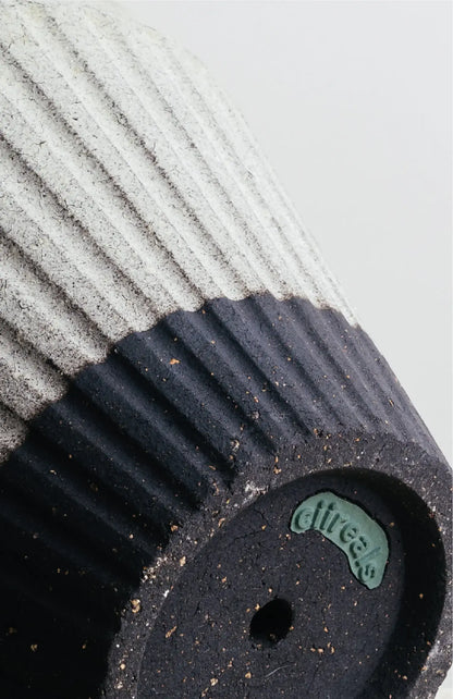 Overnight Muffin Planter