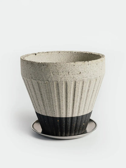 Overnight Muffin Planter