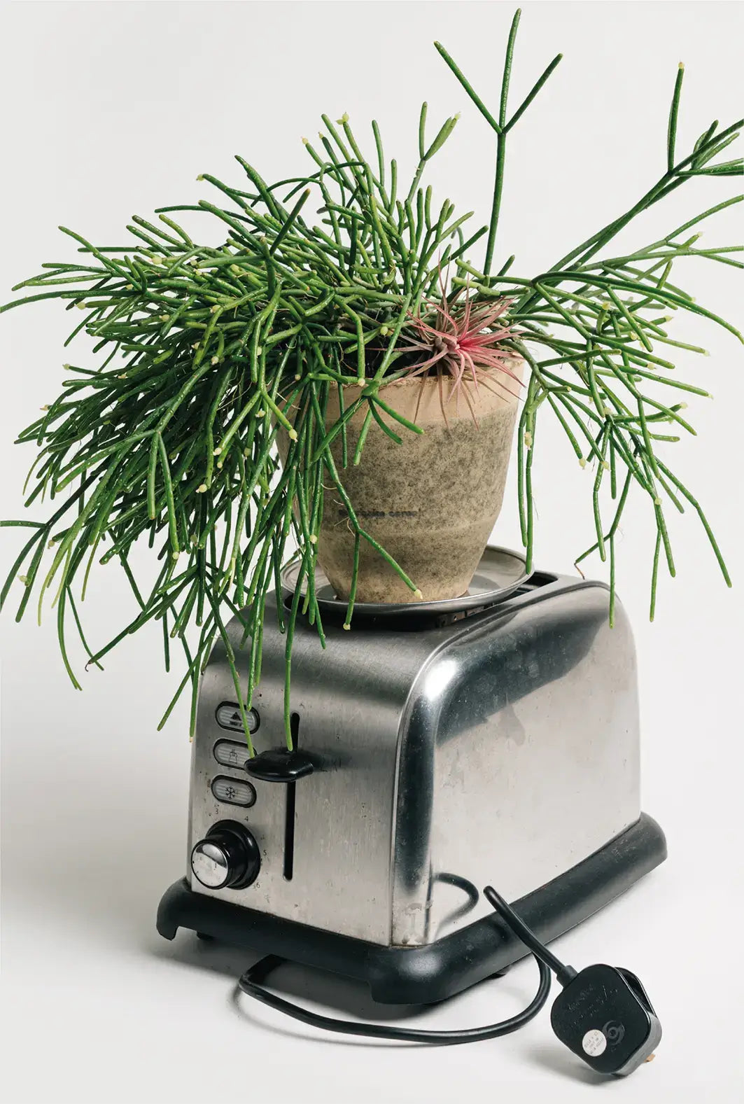Overnight Toast Planter