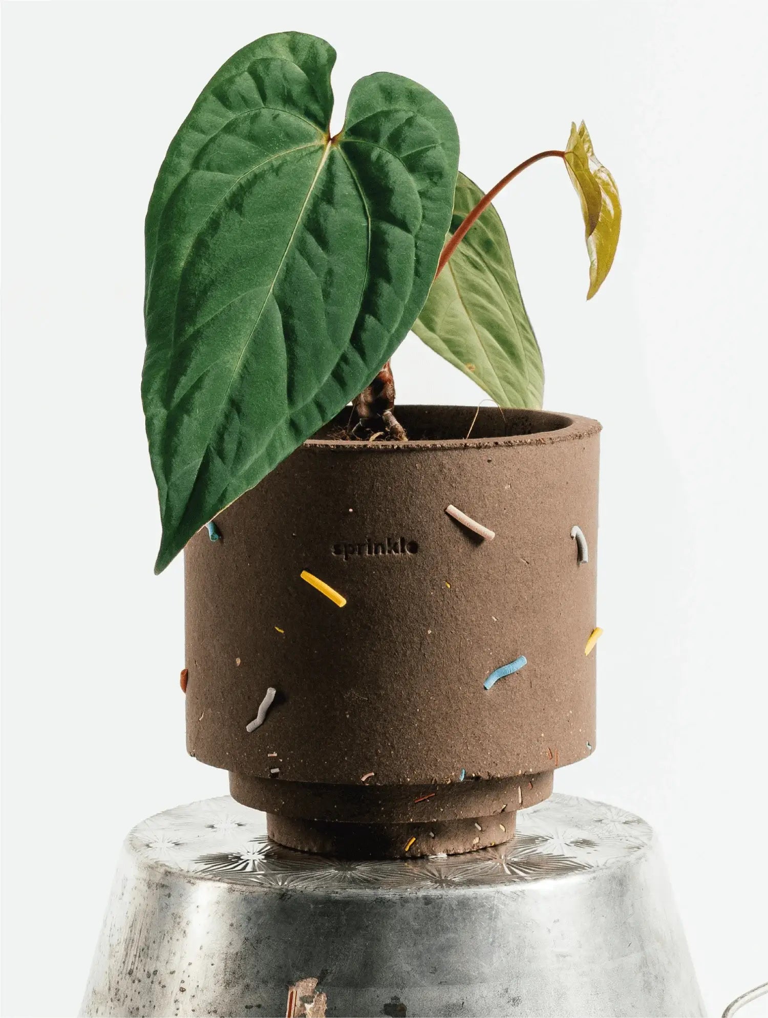 Sprinkle Planter
