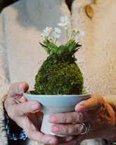 kokedama-workshop1.jpeg__PID:74c521e6-7895-4900-8f7b-990c053a4d88