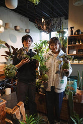kokedama-workshop9.jpeg__PID:21e67895-b900-4f7b-990c-053a4d88d6d3